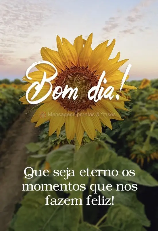 Que sejam eternos os momentos que nos fazem feliz!
 Bom dia! 
