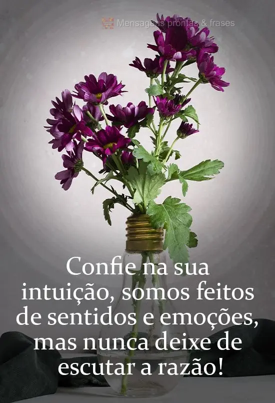 Confie na sua intuição. Somos feitos de sentido e emoção, mas não deixe de escutar a razão!
