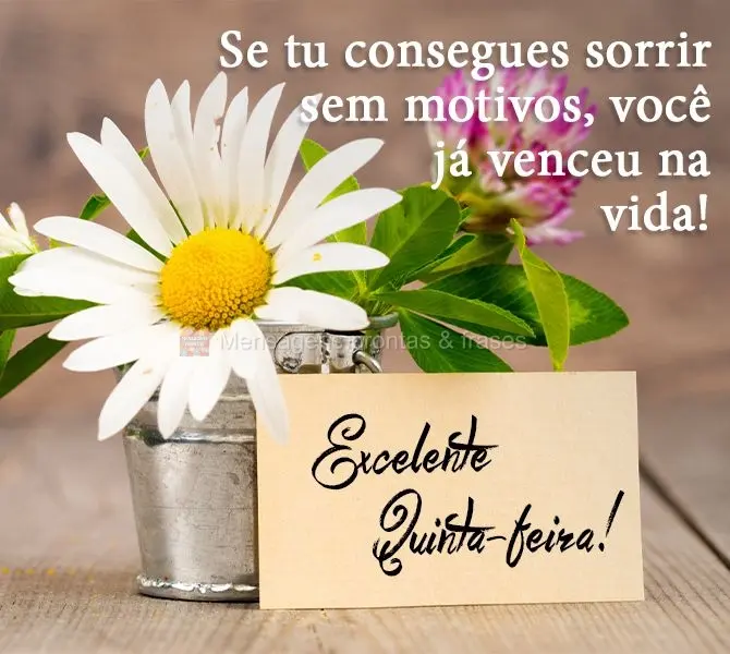 Se tu consegues sorrir sem motivos, você já venceu na vida!  Excelente Quinta-feira!