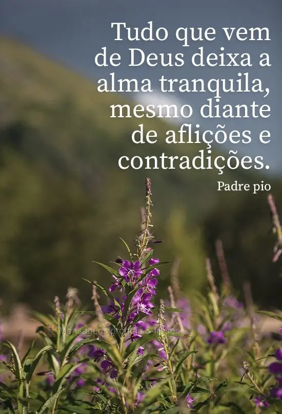 Tudo que vem de Deus deixa a alma tranquila, mesmo diante de aflições e contradições. 
 Padre pio