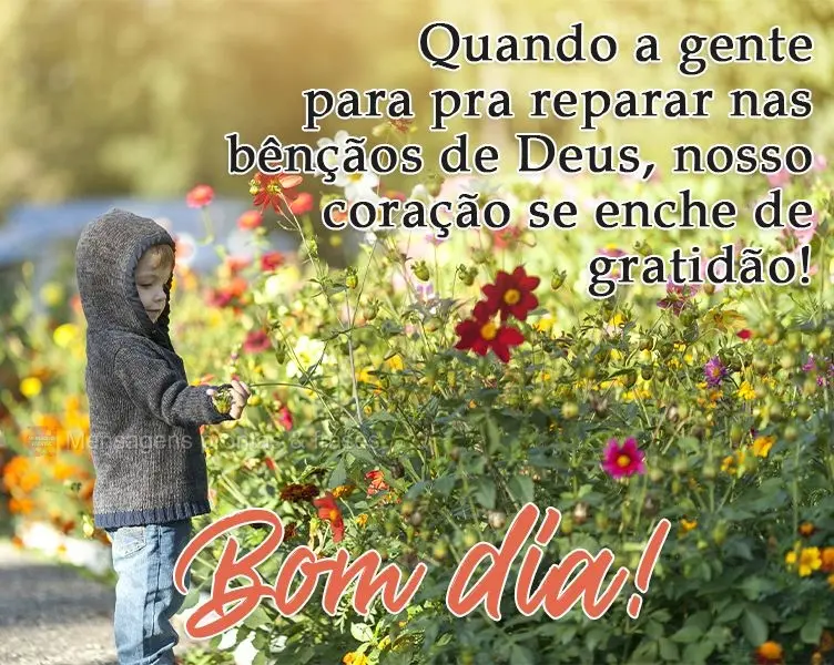 Quando a gente para pra reparar nas bênçãos de Deus, nosso coração se enche de gratidão!  Bom dia!