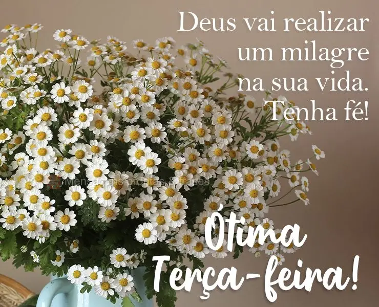 Deus vai realizar um milagre na sua vida. Tenha fé! 
 Ótima Terça-feira!