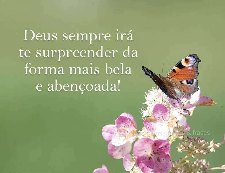 Deus sempre irá te surpreender da forma mais bela e abençoada!
