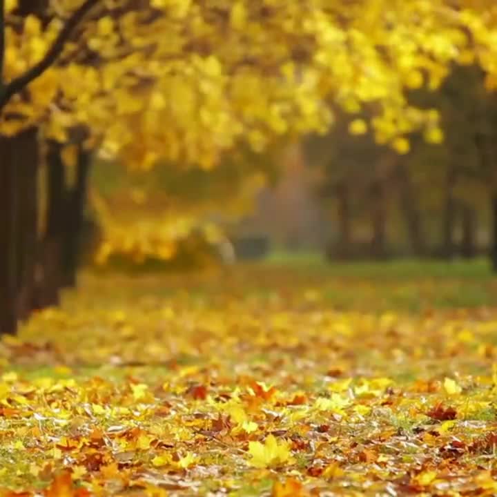 Parábola: O caminho do Sucesso

“Um aprendiz foi até o mestre para que ele o ensinasse o caminho do sucesso. 
E o mestre então perguntou: É isso...