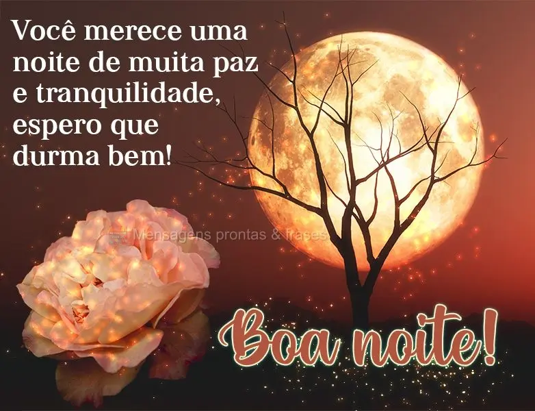 Você merece uma noite de muita paz e tranquilidade, espero que durma bem!  Boa noite!