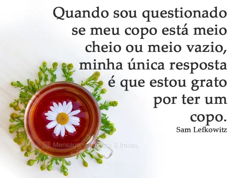 Quando sou questionado se meu copo está meio cheio ou meio vazio, minha única resposta é que estou grato por ter um copo.
  Sam Lefkowitz