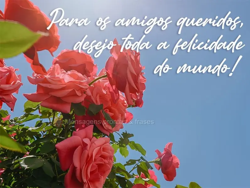 Para os amigos queridos, desejo toda a felicidade do mundo!

