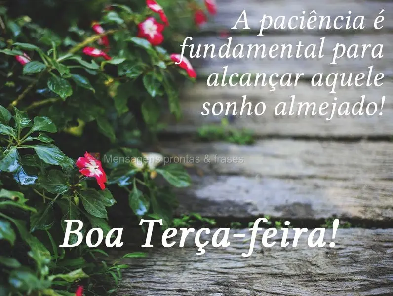 A paciência é fundamental para alcançar aquele sonho almejado! 
 Boa Terça-feira!