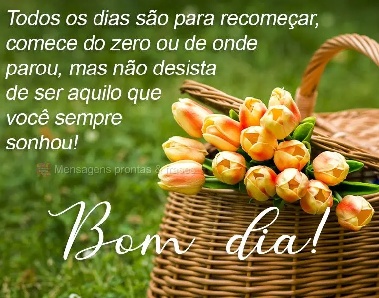 Todos os dias são para recomeçar. Comece do zero ou de onde parou, mas não desista de ser aquilo que você sempre sonhou! 
 Bom dia!