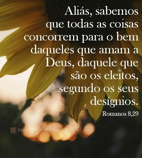 Aliás, sabemos que todas as coisas concorrem para o bem daqueles que amam a Deus, daqueles que são os eleitos, segundo os seus desígnios. Romanos 8,28...