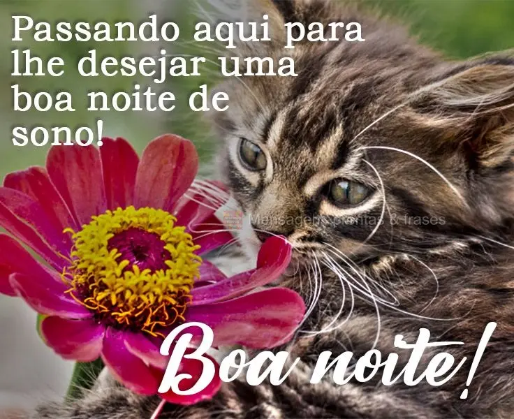 Passando aqui para lhe desejar uma boa noite de sono! 
 Boa noite!