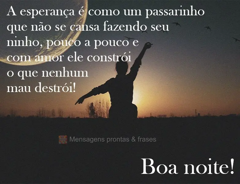 A esperança é como um passarinho que não se cansa fazendo seu ninho. Pouco a pouco e com amor ele constrói o que nenhum mau destrói! 
 Boa noite!...