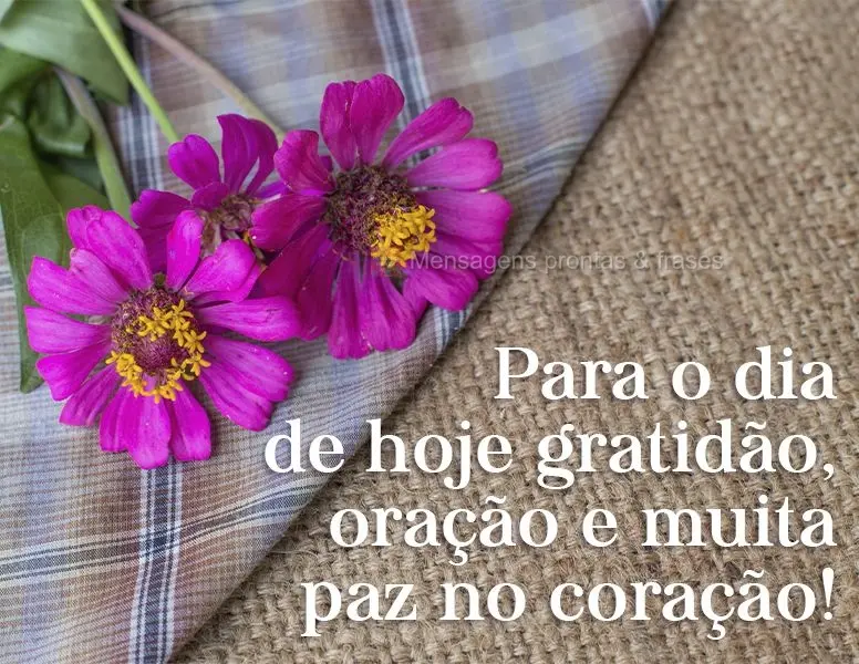 Para o dia de hoje gratidão, oração e muita paz no coração!
