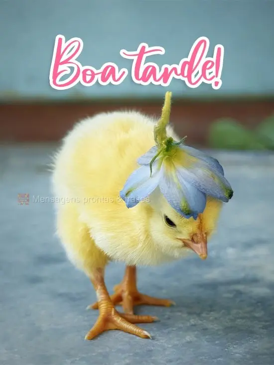 Boa tarde!
