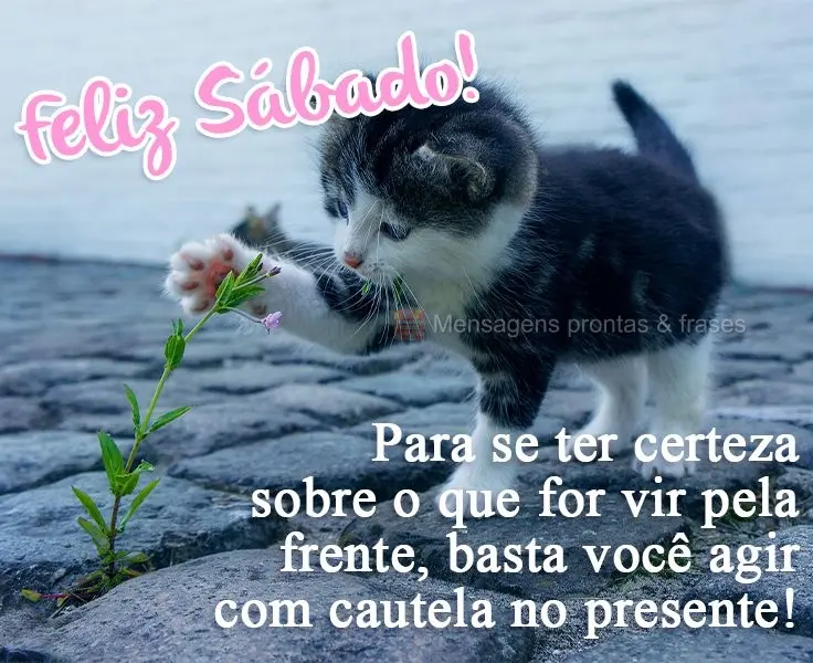 Para se ter certeza sobre o que for vir pela frente, basta você agir com cautela no presente!  Feliz Sábado!