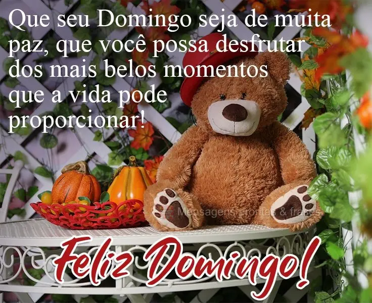 Que seu Domingo seja de muita paz, que você possa desfrutar dos mais belos momentos que a vida pode proporcionar! 
 Feliz Domingo!