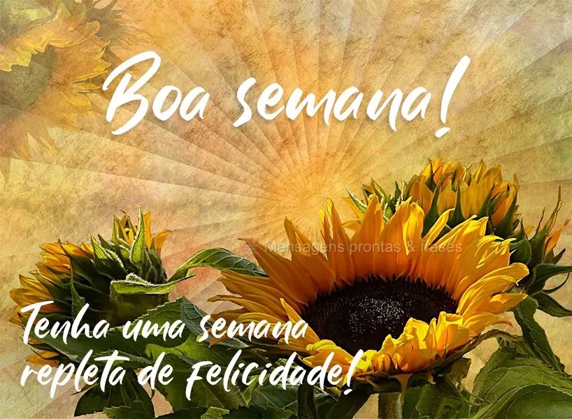 Tenha uma semana repleta de felicidade! 
 Boa semana!