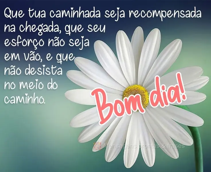 Que tua caminhada seja recompensada na chegada, que seu esforço não seja em vão, e que não desista no meio do caminho. 
 Bom dia!