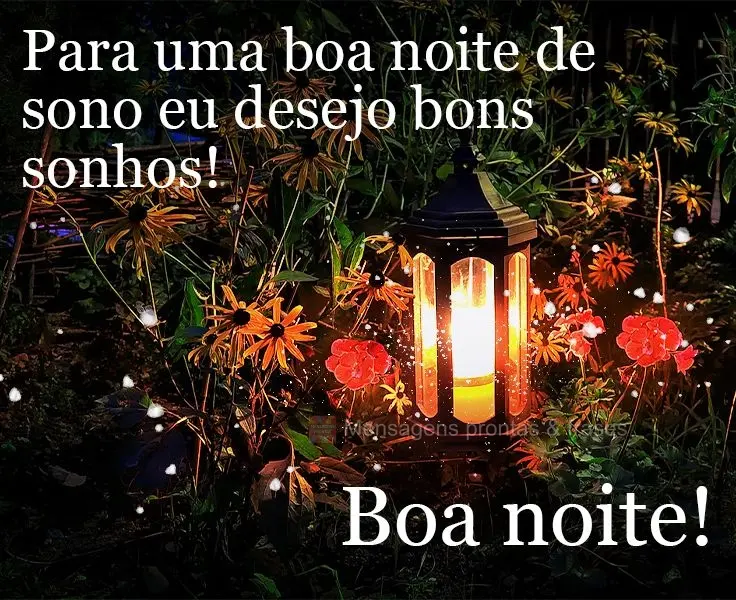 Para uma boa noite de sono eu desejo bons sonhos! 
 Boa noite!