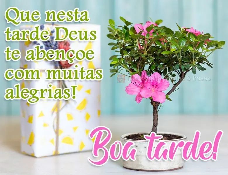 Que nesta tarde Deus te abençoe com muitas alegrias!  Boa tarde!