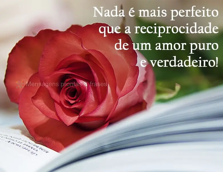 Nada é mais perfeito que a reciprocidade de um amor puro e verdadeiro!
