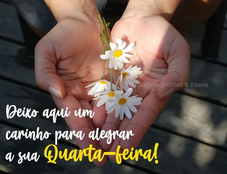 Deixo aqui um carinho para alegrar a sua Quarta-feira!