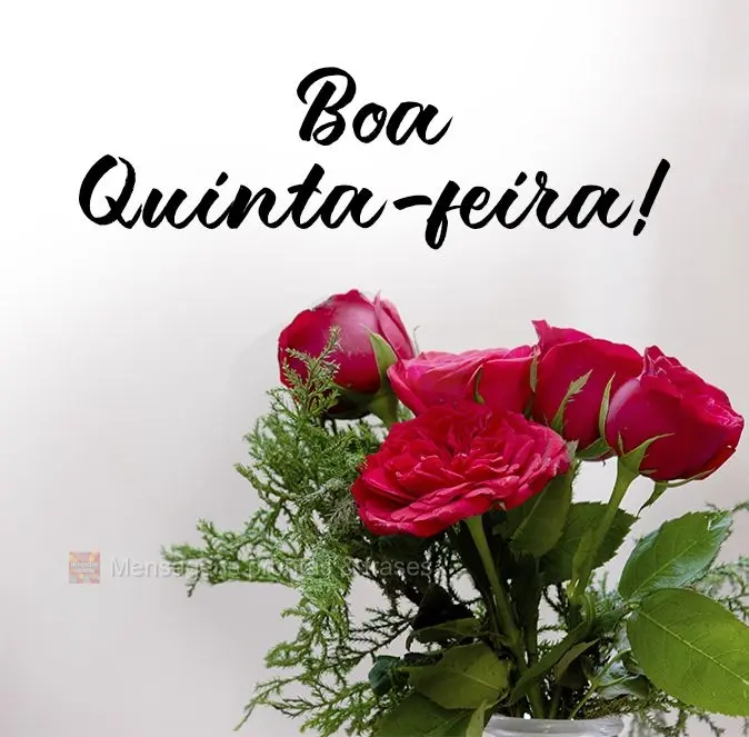 Boa Quinta-feira!