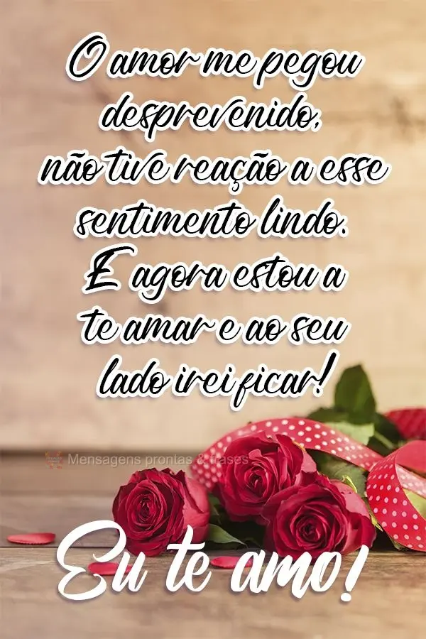 O amor me pegou desprevenido, não tive reação a esse sentimento lindo. E agora estou a te amar, ao seu lado irei ficar!  Eu te amo!