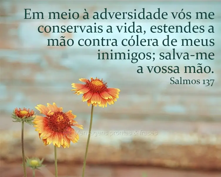 Em meio a adversidade vós me conservais a vida, estendes a mão contra cólera de meus inimigos; salva-me a vossa mão. Salmos 137