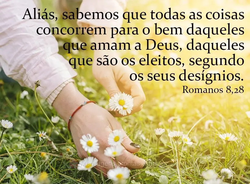 Aliás, sabemos que todas as coisas concorrem para o bem daqueles que amam a Deus, daqueles que são os eleitos, segundo os seus desígnios.  Romanos 8,2...