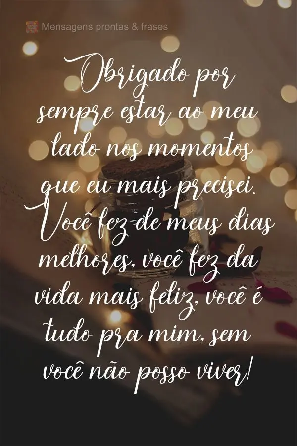 Obrigado por sempre estar ao meu lado nos momentos que eu mais precisei. Você fez meus dias melhores, você fez da vida mais feliz, você é tudo pra mi...