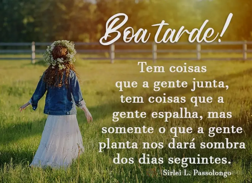 Tem coisas que a gente junta, tem coisas que a gente espalha. Mas somente o que a gente planta nos dará sombra dos dias seguintes. Boa tarde! Sirlei L. ...