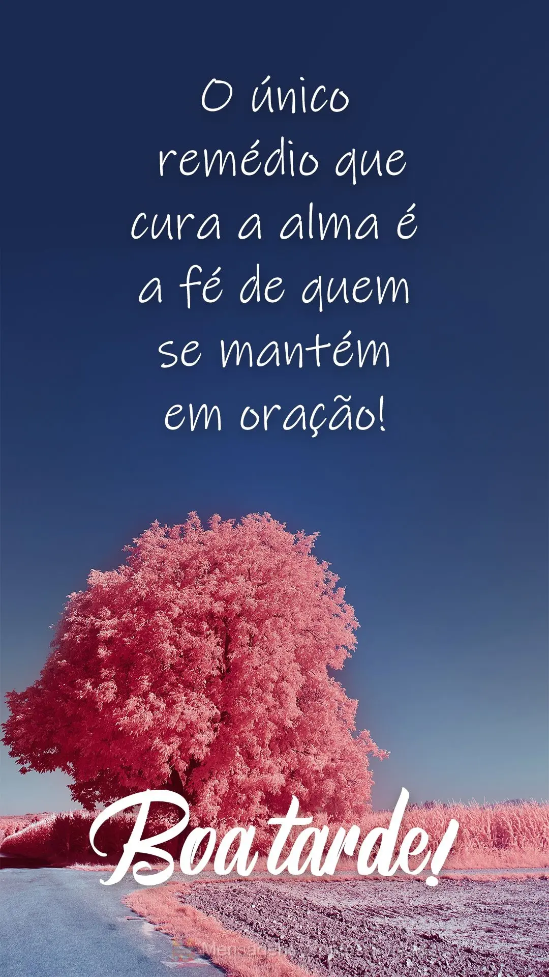 O único remédio que cura a alma é a fé de quem se mantém em oração!  Boa tarde!