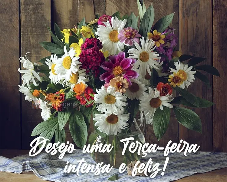 Desejo uma Terça-feira intensa e feliz!