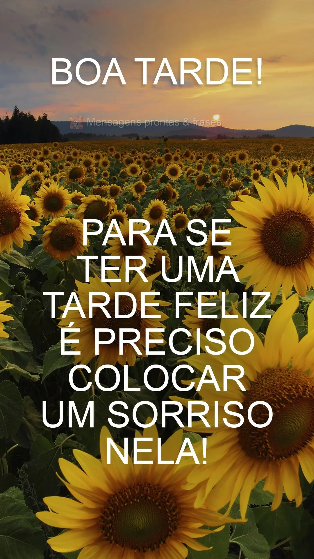 Para se ter uma tarde feliz é preciso colocar um sorriso nela!  Boa tarde!