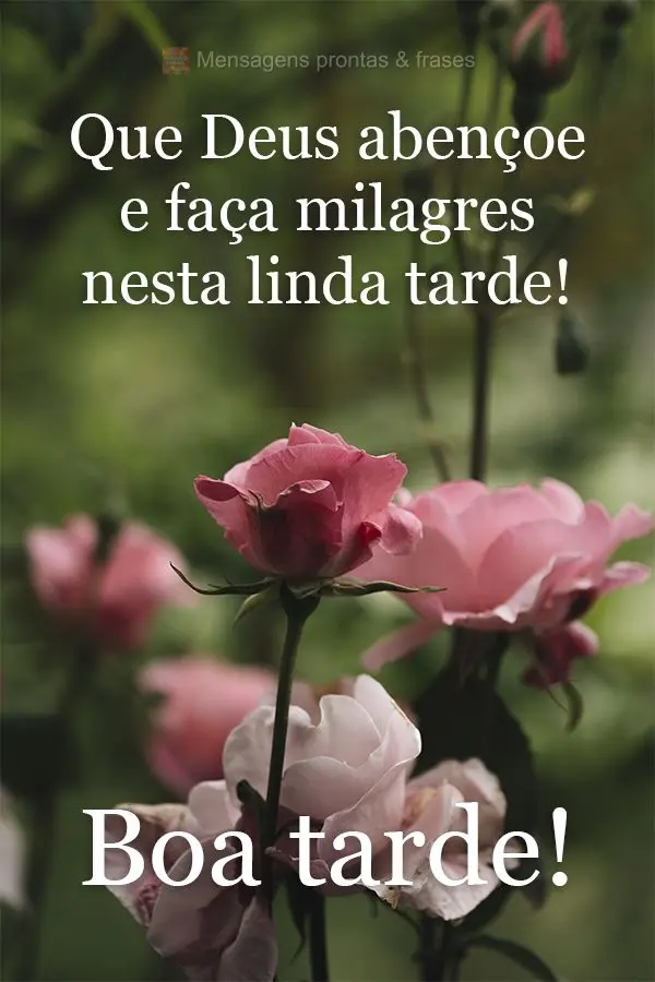 Que Deus abençoe e faça milagres nesta linda tarde!  Boa tarde!