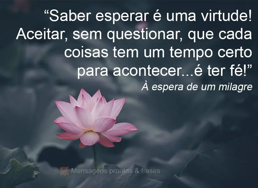 “Saber esperar é uma virtude! Aceitar, sem questionar, que cada coisa tem um tempo certo para acontecer...é ter fé!”  À espera de um milagre