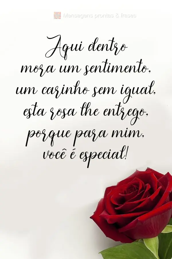 Aqui dentro mora um sentimento, um carinho sem igual. Esta rosa lhe entrego, porque, para mim, você é especial!