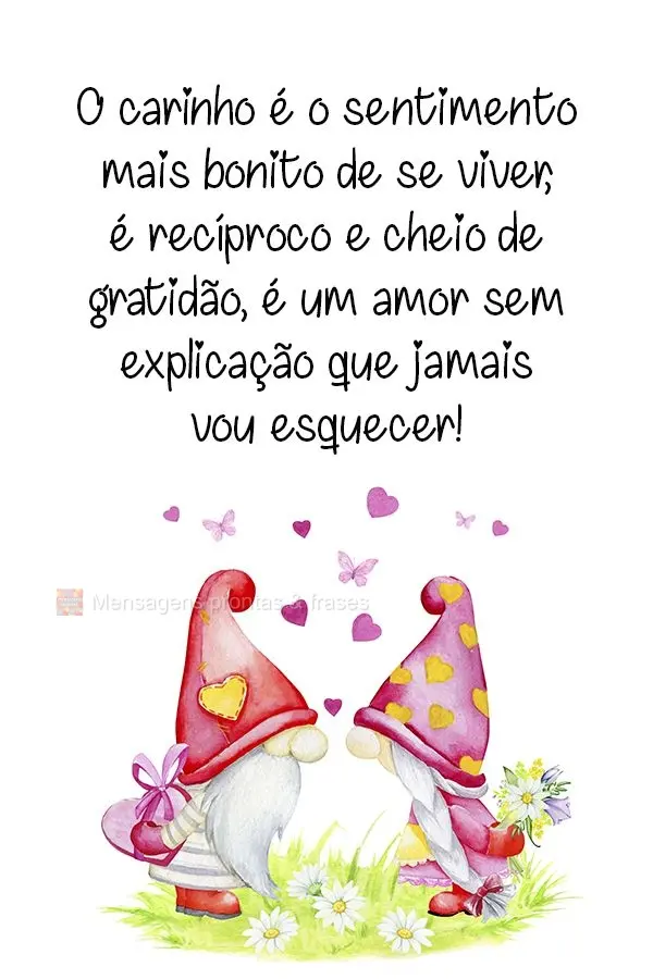 O carinho é o sentimento mais bonito de se viver, é recíproco e cheio de gratidão, é um amor sem explicação que jamais vou esquecer!