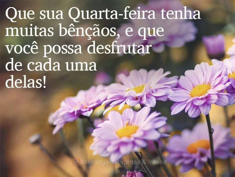 Que sua Quarta-feira tenha muitas bênçãos e que você possa desfrutar de cada uma delas!