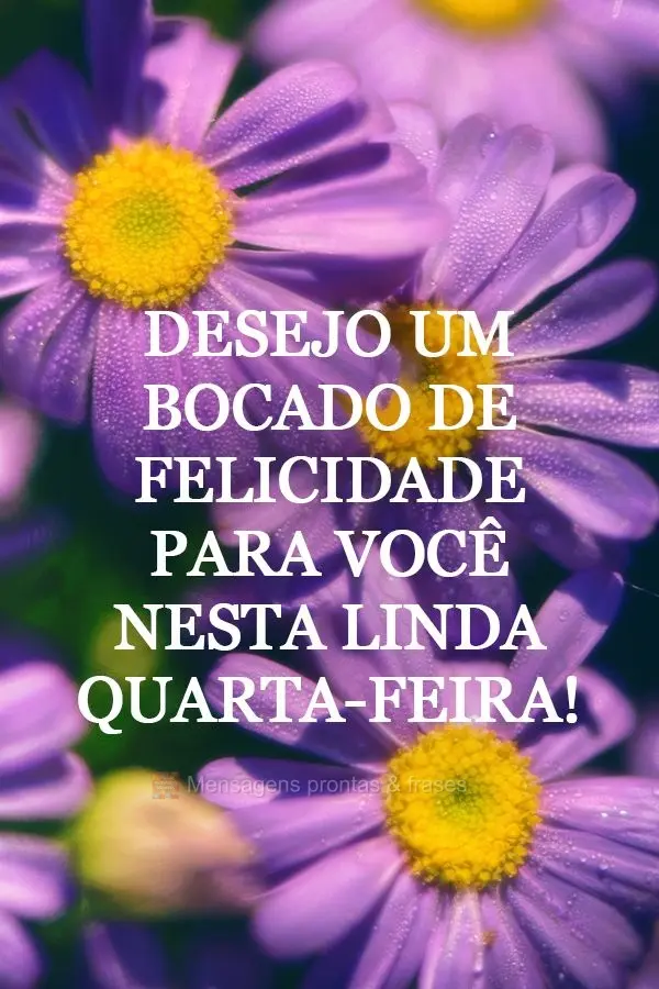 Desejo um bocado de felicidade para você nesta linda Quarta-feira!