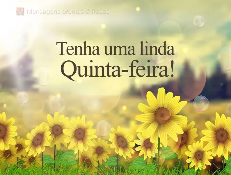 Tenha uma linda Quinta-feira!