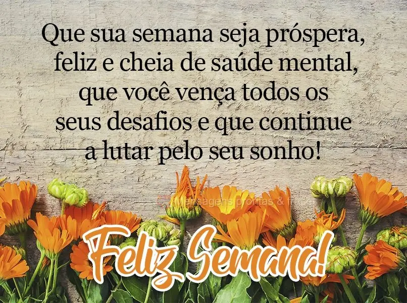 Que sua semana seja próspera, feliz e cheia de saúde mental. Que você vença todos os seus desafios e que continue a lutar pelo seu sonho!  Feliz Sema...