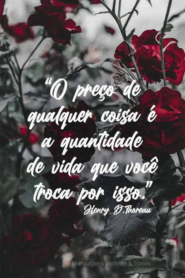 O preço de qualquer coisa é a quantidade de vida que você troca por isso.  Henry David Thoreau