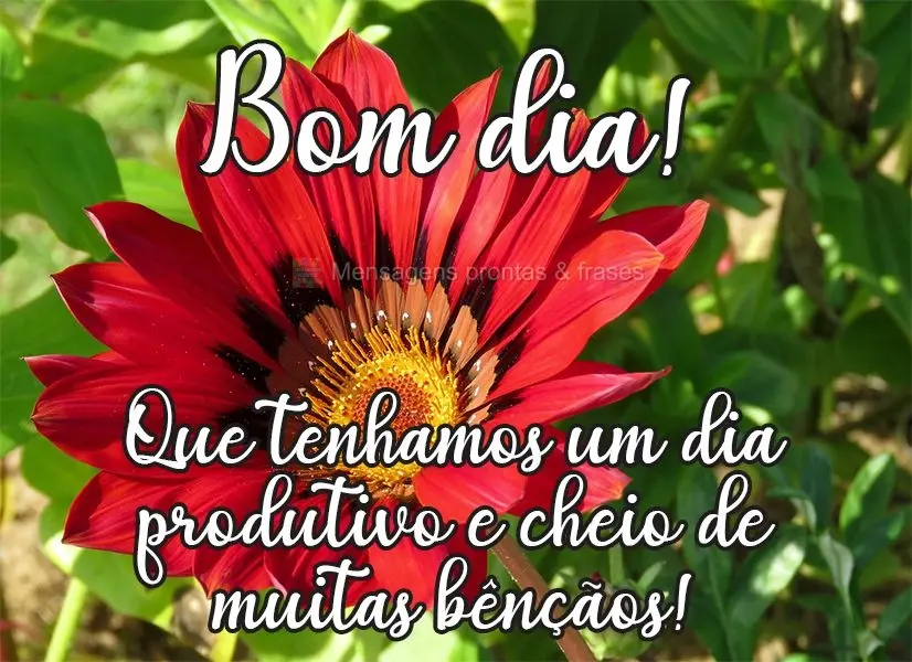 Que tenhamos um dia produtivo e cheio de muitas bênçãos! Bom dia! 