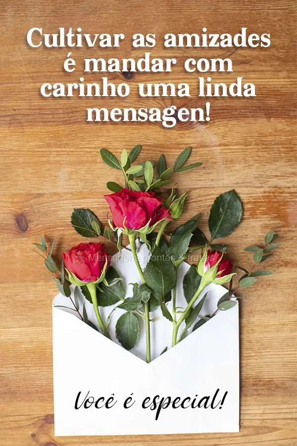 Cultivar as amizades é mandar com carinho uma linda mensagem! Você é especial!