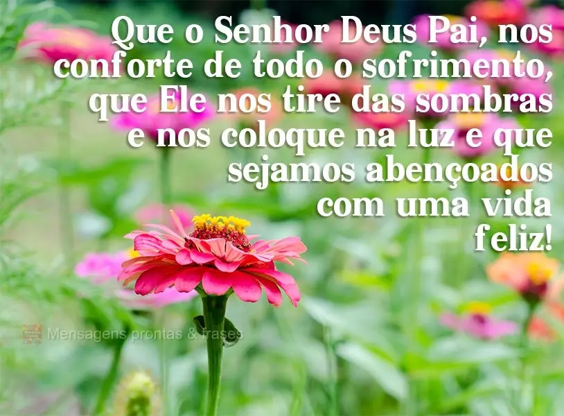 Que o Senhor Deus Pai nos conforte de todo o sofrimento, que Ele nos tire das sombras, nos coloquem na luz e que sejamos abençoados com uma vida feliz!...