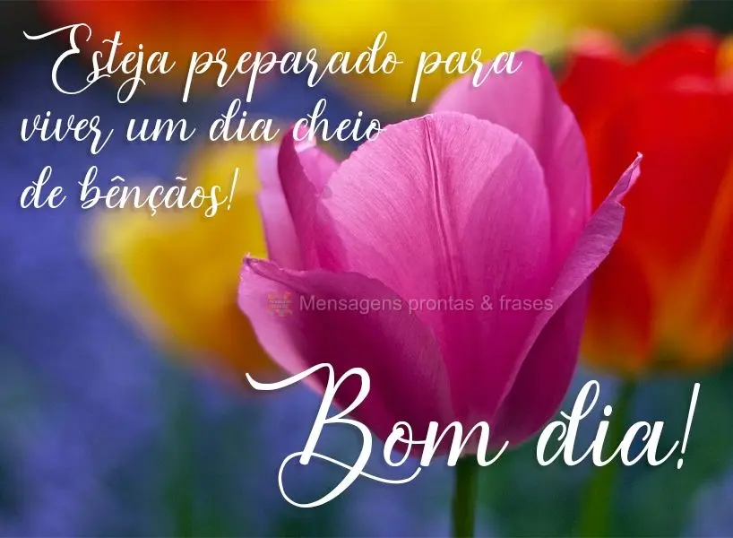 Esteja preparado para viver um dia cheio de bênçãos!  Bom dia!
