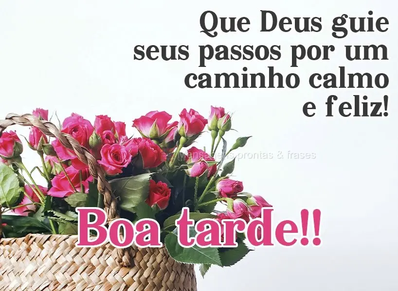 Que Deus guie seus passos por um caminho calmo e feliz!  Boa tarde!