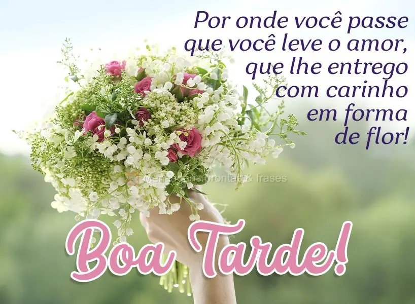 Por onde você passe, que você leve o amor que lhe entrego com carinho em forma de flor!  Boa Tarde!